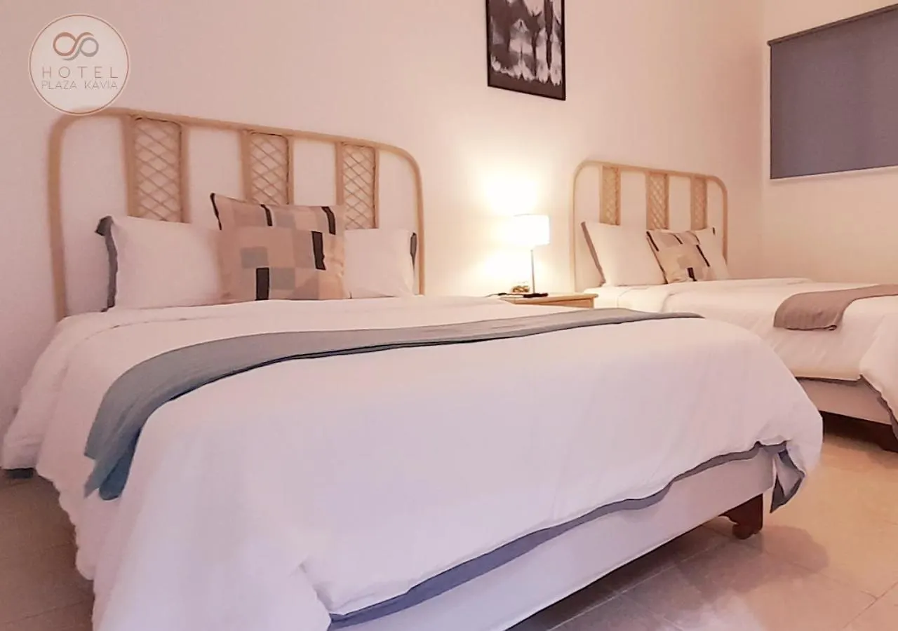סנטו דומינגו Hotel Plaza Kavia